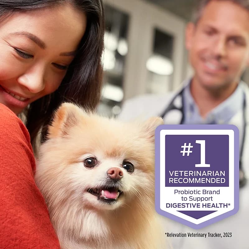 Purina Pro Plan Veterinary Supplements FortiFlora Daily Probiotics for Dogs — image 4