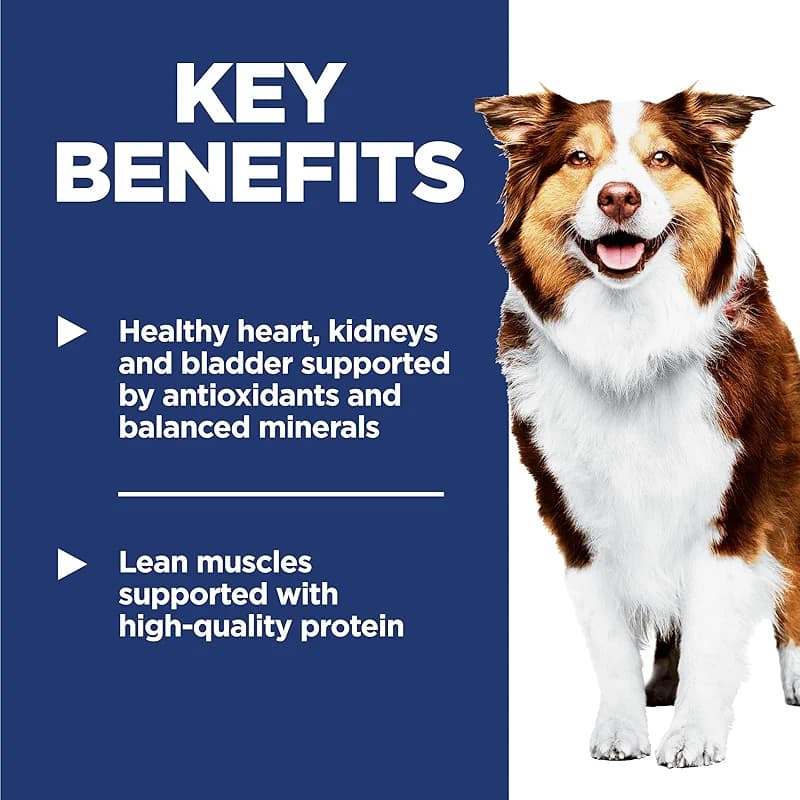 Hill's Science Diet Adult 7+ Dry Dog Food — image 5