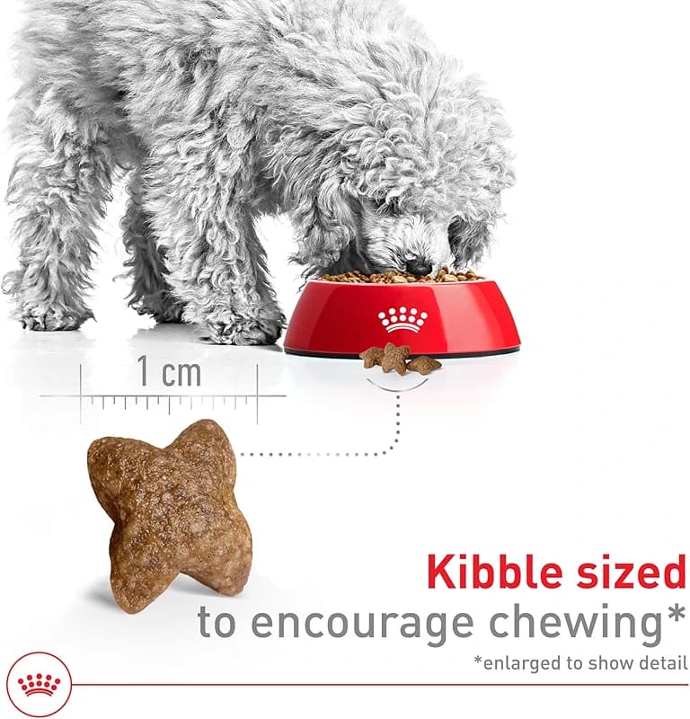 ROYAL CANIN Size Health Nutrition Small Adult Dry Dog Food — image 4