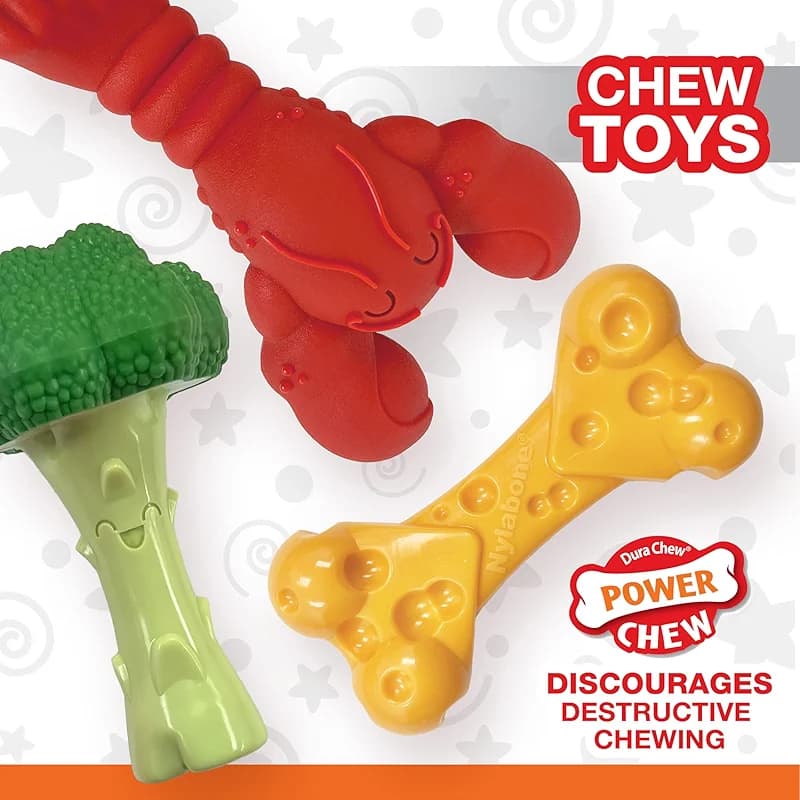 Nylabone Power Chew Toy Bundle — image 6