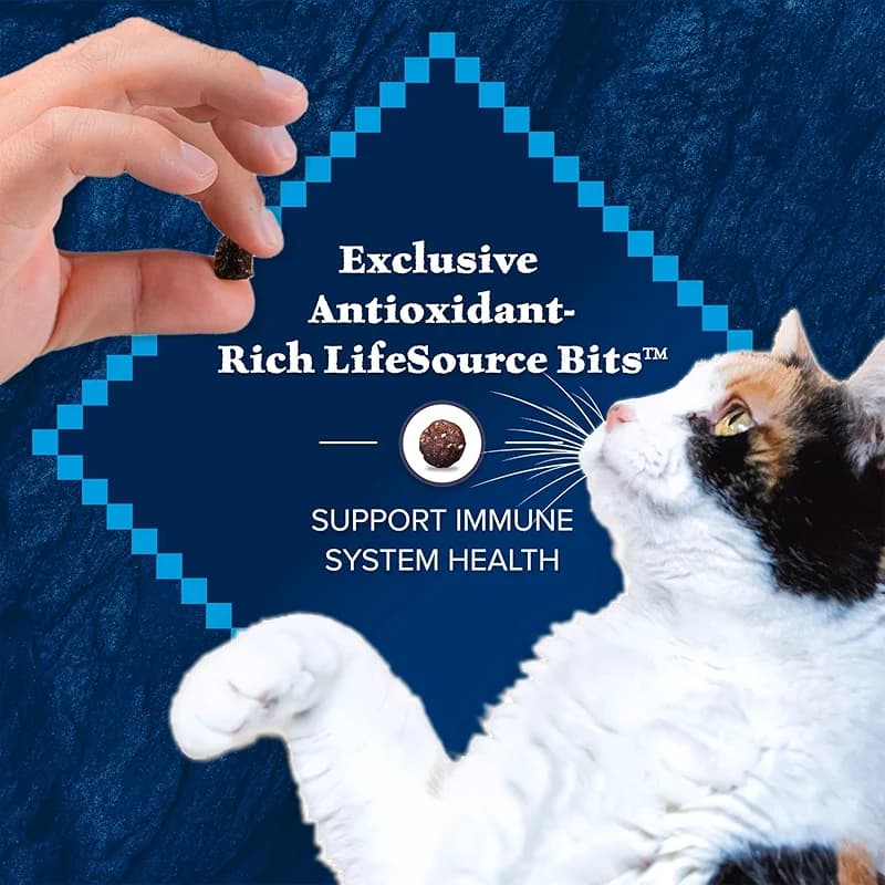 Blue Buffalo Wilderness Natural Adult Dry Cat Food — image 2