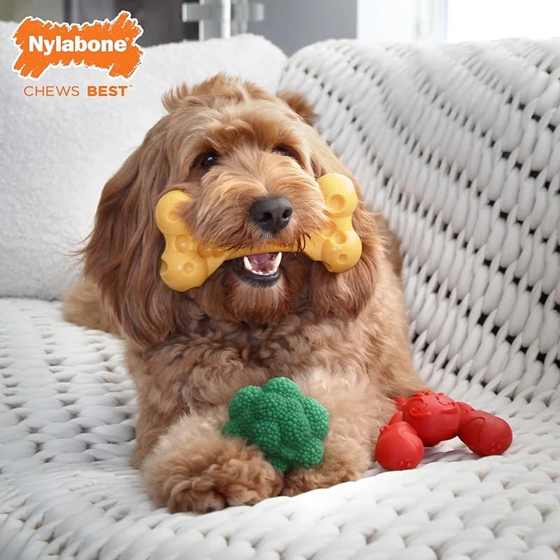 Nylabone Power Chew Toy Bundle — image 7