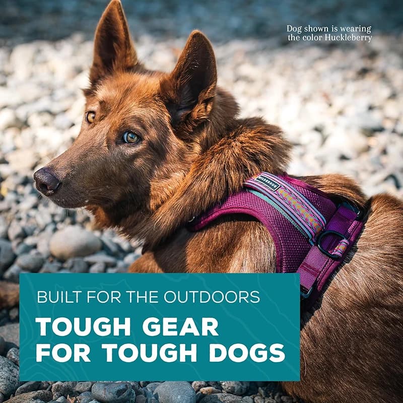 Wilderdog Lightweight Dog Harness with Reflective Straps - Medium — image 3