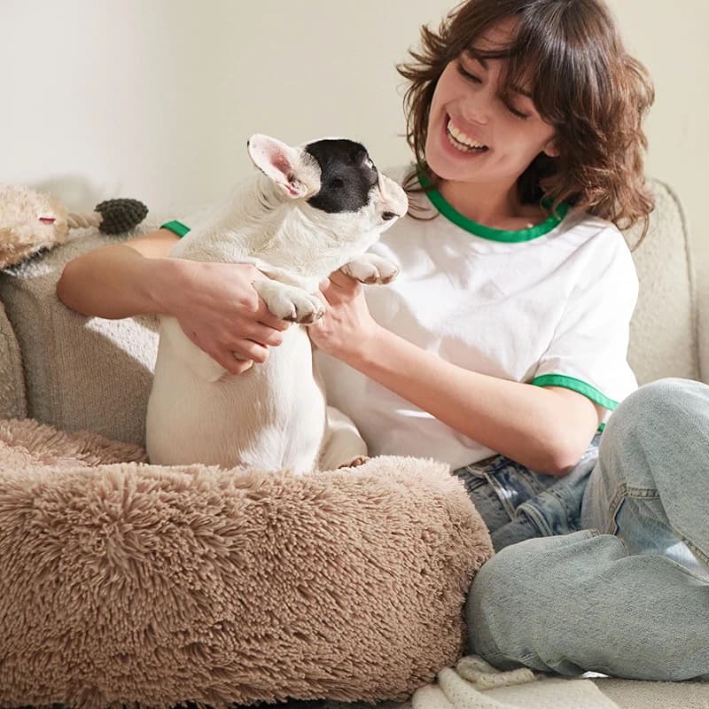 Bedsure Calming Dog Bed for Small Dogs - Donut Washable Small Puppy Bed — image 6