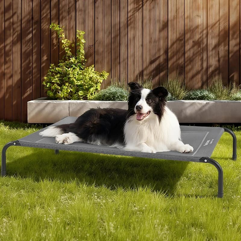 Bedsure Outdoor Elevated Dog Bed Large Sized Dog — image 7